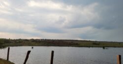 Fazenda com Pasto e Lavoura à Venda 11.374 hectares Rica em Água | São Félix do Xingu/ MT