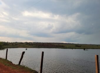 Fazenda com Pasto e Lavoura à Venda 11.374 hectares Rica em Água | São Félix do Xingu/ MT