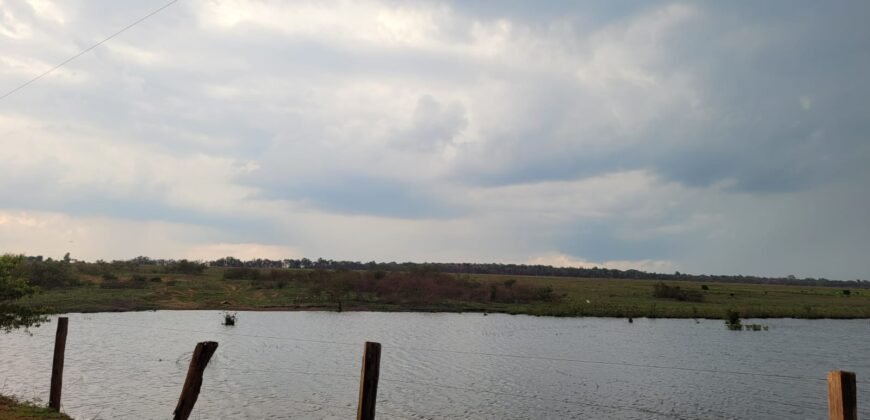 Fazenda com Pasto e Lavoura à Venda 11.374 hectares Rica em Água | São Félix do Xingu/ MT