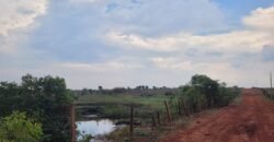 Fazenda com Pasto e Lavoura à Venda 11.374 hectares Rica em Água | São Félix do Xingu/ MT