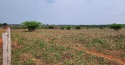 Fazenda com Pasto e Lavoura à Venda 11.374 hectares Rica em Água | São Félix do Xingu/ MT