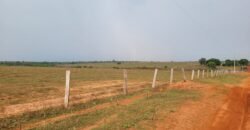 Fazenda com Pasto e Lavoura à Venda 11.374 hectares Rica em Água | São Félix do Xingu/ MT