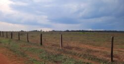 Fazenda com Pasto e Lavoura à Venda 11.374 hectares Rica em Água | São Félix do Xingu/ MT