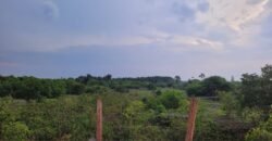 Fazenda com Pasto e Lavoura à Venda 11.374 hectares Rica em Água | São Félix do Xingu/ MT