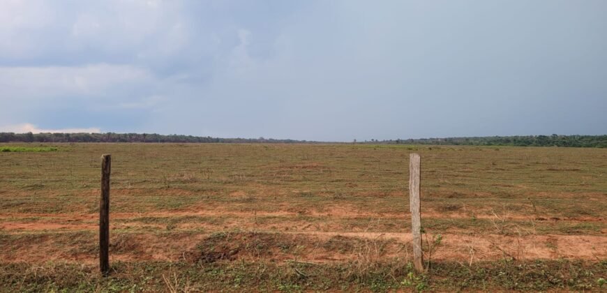 Fazenda com Pasto e Lavoura à Venda 11.374 hectares Rica em Água | São Félix do Xingu/ MT