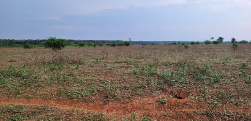 Fazenda com Pasto e Lavoura à Venda 11.374 hectares Rica em Água | São Félix do Xingu/ MT