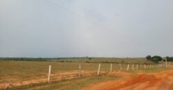 Fazenda com Pasto e Lavoura à Venda 11.374 hectares Rica em Água | São Félix do Xingu/ MT