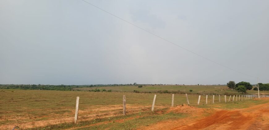 Fazenda com Pasto e Lavoura à Venda 11.374 hectares Rica em Água | São Félix do Xingu/ MT