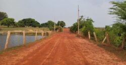 Fazenda com Pasto e Lavoura à Venda 11.374 hectares Rica em Água | São Félix do Xingu/ MT