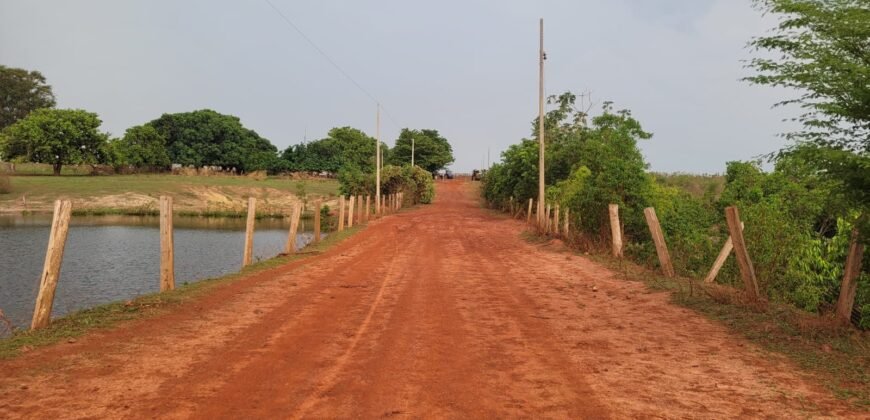 Fazenda com Pasto e Lavoura à Venda 11.374 hectares Rica em Água | São Félix do Xingu/ MT