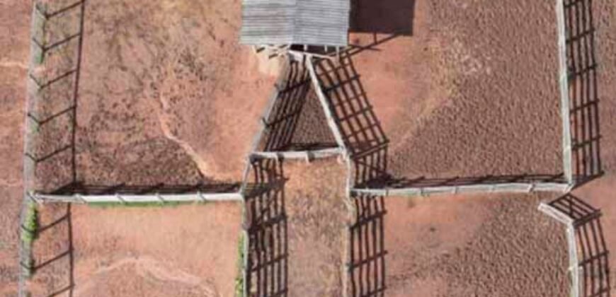 Oportunidade Única: Fazenda Dupla Aptidão 1.033 alqueires Rica em recursos hídricos | Peixes/ TO