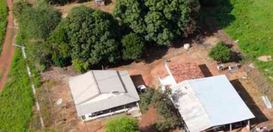 Oportunidade Única: Fazenda Dupla Aptidão 1.033 alqueires Rica em recursos hídricos | Peixes/ TO