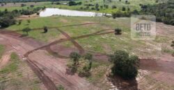 Oportunidade Única: Fazenda Dupla Aptidão 1.033 alqueires Rica em recursos hídricos | Peixes/ TO