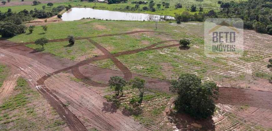 Oportunidade Única: Fazenda Dupla Aptidão 1.033 alqueires Rica em recursos hídricos | Peixes/ TO