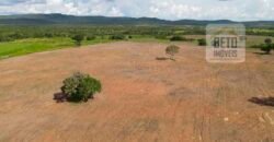 Oportunidade Única: Fazenda Dupla Aptidão 1.033 alqueires Rica em recursos hídricos | Peixes/ TO