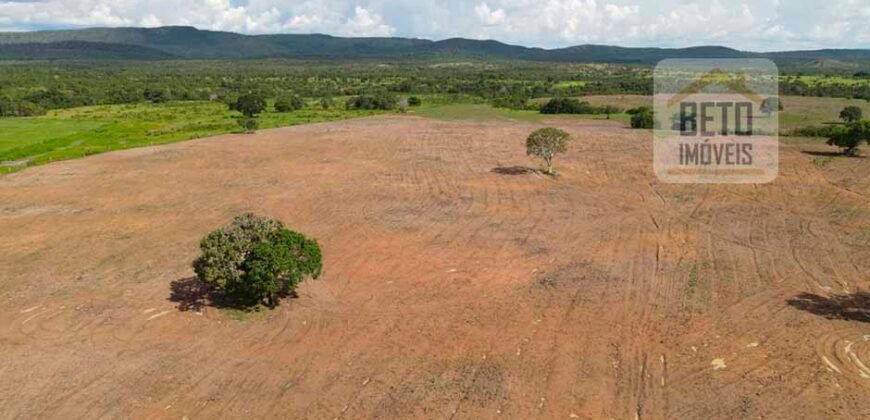 Oportunidade Única: Fazenda Dupla Aptidão 1.033 alqueires Rica em recursos hídricos | Peixes/ TO