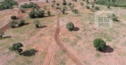 Oportunidade Única: Fazenda Dupla Aptidão 1.033 alqueires Rica em recursos hídricos | Peixes/ TO