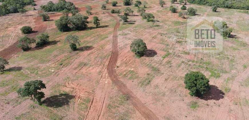 Oportunidade Única: Fazenda Dupla Aptidão 1.033 alqueires Rica em recursos hídricos | Peixes/ TO