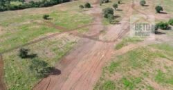 Oportunidade Única: Fazenda Dupla Aptidão 1.033 alqueires Rica em recursos hídricos | Peixes/ TO