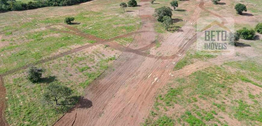 Oportunidade Única: Fazenda Dupla Aptidão 1.033 alqueires Rica em recursos hídricos | Peixes/ TO