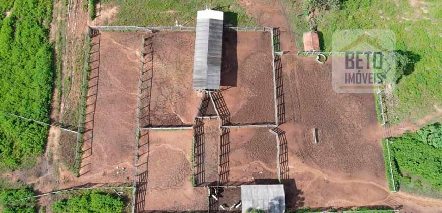 Oportunidade Única: Fazenda Dupla Aptidão 1.033 alqueires Rica em recursos hídricos | Peixes/ TO