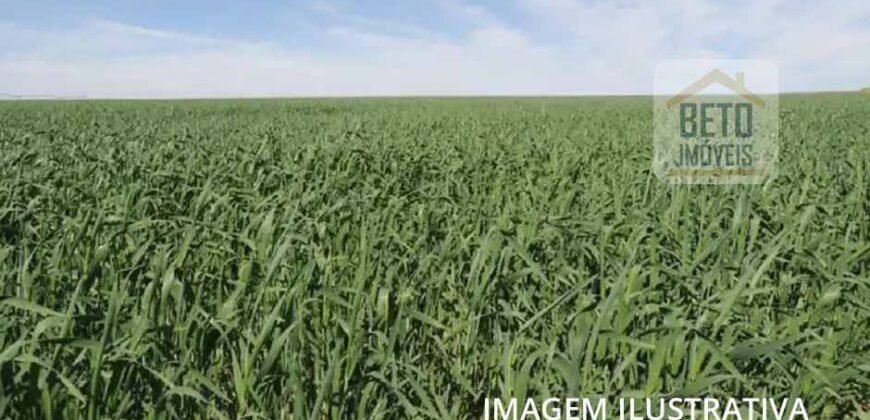 Oportunidade Única: Fazenda 2.392 hectares com Poço artesiano, cisterna e córregoem | Bocaiúvas/ MG