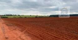 Fazenda Produtiva à Venda 1.100 Alqueires com benfeitorias e toda irrigada com as próprias nascentes | Reg. Rio Preto/ SP