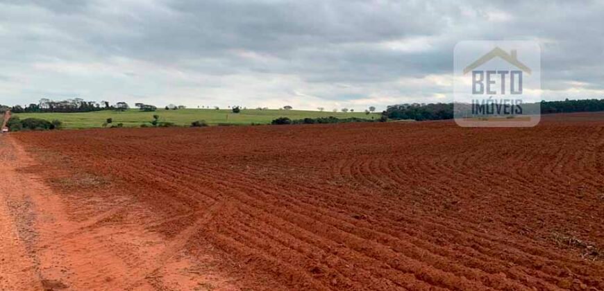 Fazenda Produtiva à Venda 1.100 Alqueires com benfeitorias e toda irrigada com as próprias nascentes | Reg. Rio Preto/ SP