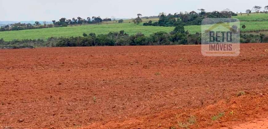 Fazenda Produtiva à Venda 1.100 Alqueires com benfeitorias e toda irrigada com as próprias nascentes | Reg. Rio Preto/ SP