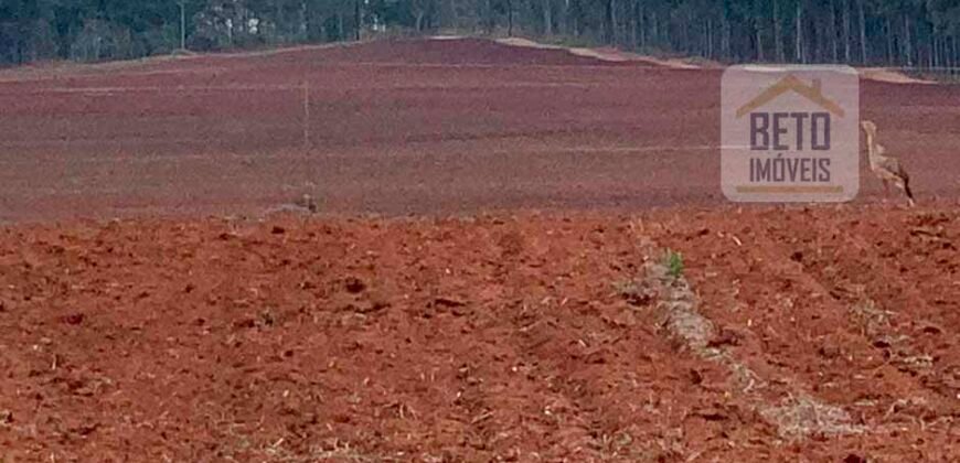 Fazenda Produtiva à Venda 1.100 Alqueires com benfeitorias e toda irrigada com as próprias nascentes | Reg. Rio Preto/ SP