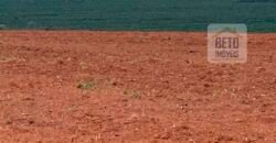 Fazenda Produtiva à Venda 1.100 Alqueires com benfeitorias e toda irrigada com as próprias nascentes | Reg. Rio Preto/ SP