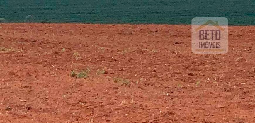 Fazenda Produtiva à Venda 1.100 Alqueires com benfeitorias e toda irrigada com as próprias nascentes | Reg. Rio Preto/ SP