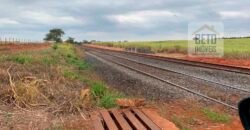 Fazenda Produtiva à Venda 1.100 Alqueires com benfeitorias e toda irrigada com as próprias nascentes | Reg. Rio Preto/ SP