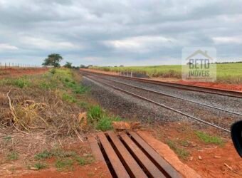 Fazenda Produtiva à Venda 1.100 Alqueires com benfeitorias e toda irrigada com as próprias nascentes | Reg. Rio Preto/ SP Fazenda Produtiva à Venda 1.100 Alqueires com benfeitorias e toda irrigada com as próprias nascentes | Reg. Rio Preto/ SP