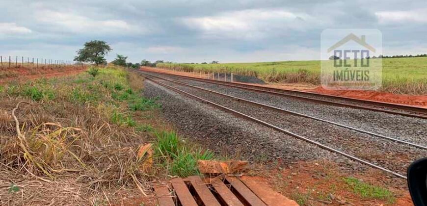 Fazenda Produtiva à Venda 1.100 Alqueires com benfeitorias e toda irrigada com as próprias nascentes | Reg. Rio Preto/ SP