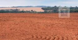 Fazenda Produtiva à Venda 1.100 Alqueires com benfeitorias e toda irrigada com as próprias nascentes | Reg. Rio Preto/ SP