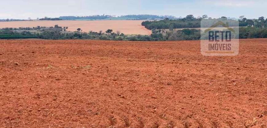Fazenda Produtiva à Venda 1.100 Alqueires com benfeitorias e toda irrigada com as próprias nascentes | Reg. Rio Preto/ SP