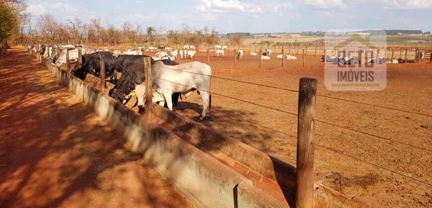 Fazenda à Venda 938 hectares Lavoura e Pecuária Com toda infraestrutura e barragem | Uberlândia/ MG
