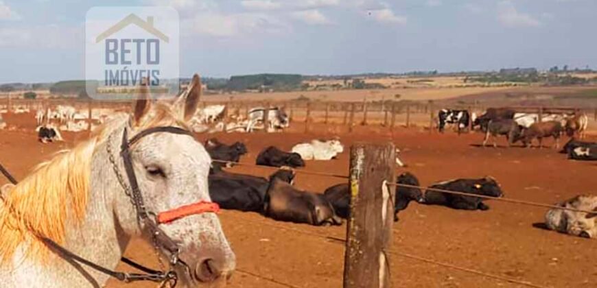 Fazenda à Venda 938 hectares Lavoura e Pecuária Com toda infraestrutura e barragem | Uberlândia/ MG