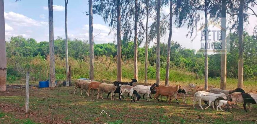 Fazenda de Laranja e Cana com 176,15 alqueires Rica em água com 2 represas | Araraquara/ SP
