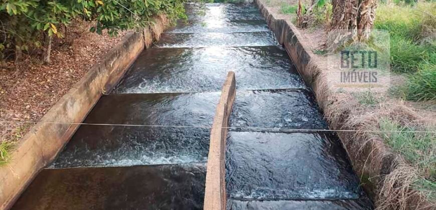 Fazenda de Laranja e Cana com 176,15 alqueires Rica em água com 2 represas | Araraquara/ SP