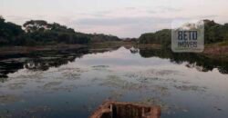 Fazenda de Laranja e Cana com 176,15 alqueires Rica em água com 2 represas | Araraquara/ SP