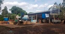 Fazenda de Laranja e Cana com 176,15 alqueires Rica em água com 2 represas | Araraquara/ SP