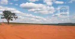 Fazenda de Laranja e Cana com 176,15 alqueires Rica em água com 2 represas | Araraquara/ SP