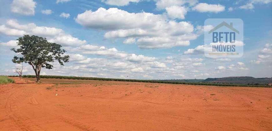 Fazenda de Laranja e Cana com 176,15 alqueires Rica em água com 2 represas | Araraquara/ SP