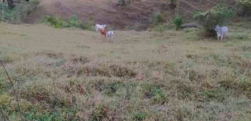 Fazenda com 128 alqueires Ótimo investimento na agropecuária no Norte Fluminense | Cambuci/ RJ