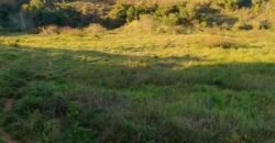 Fazenda com 128 alqueires Ótimo investimento na agropecuária no Norte Fluminense | Cambuci/ RJ