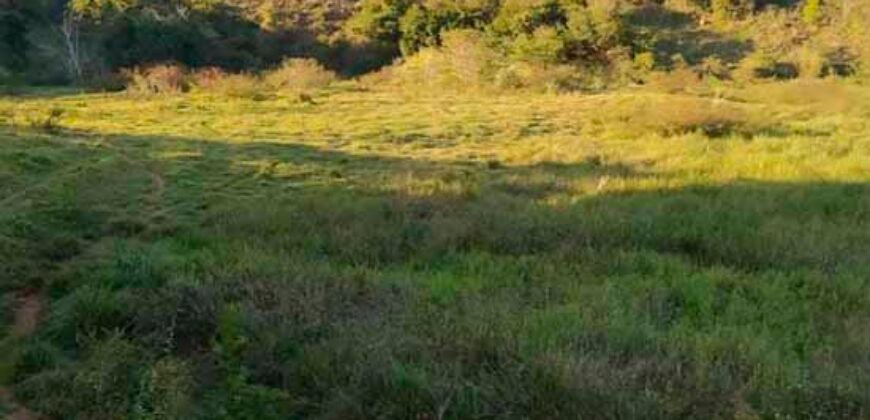 Fazenda com 128 alqueires Ótimo investimento na agropecuária no Norte Fluminense | Cambuci/ RJ