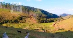 Fazenda com 128 alqueires Ótimo investimento na agropecuária no Norte Fluminense | Cambuci/ RJ