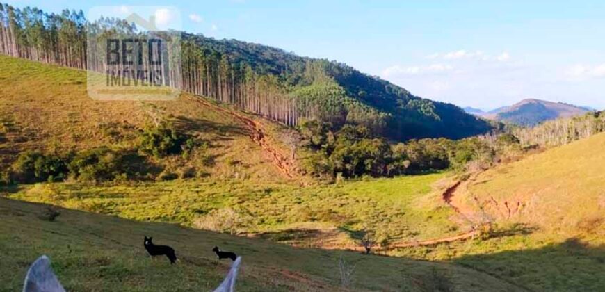 Fazenda com 128 alqueires Ótimo investimento na agropecuária no Norte Fluminense | Cambuci/ RJ